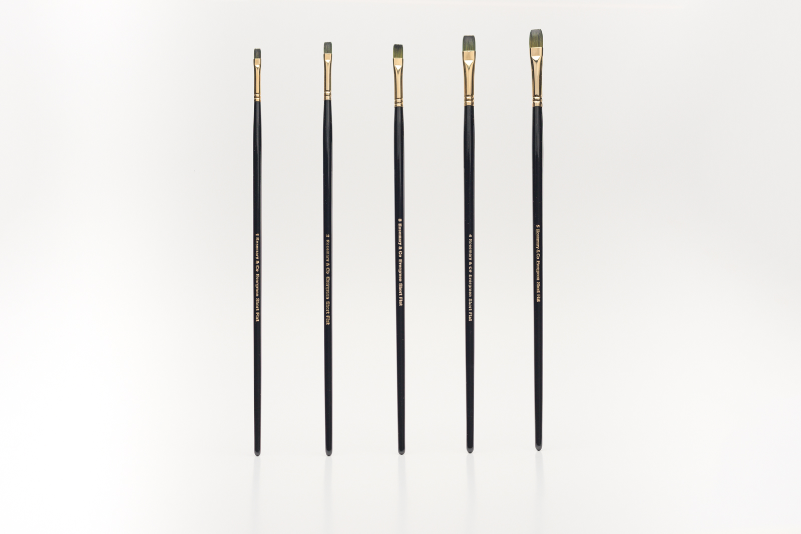 Rosemary Evergreen Short Flat Plat Acryl Olieverf Penseel Serie 