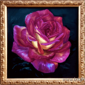 roos iris